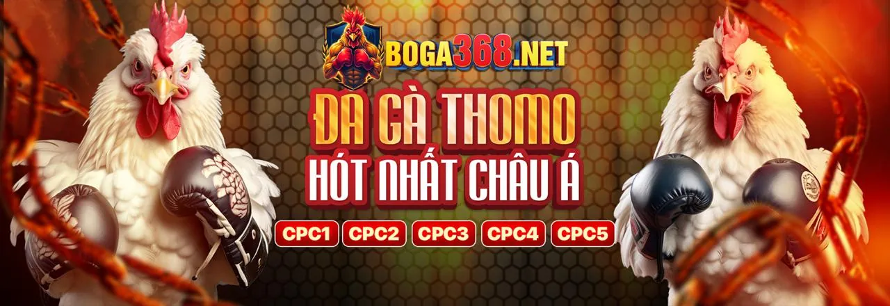 Hình ảnh tiêu đề trang Tin Tức Betvision 2026